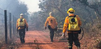 Concurso IBRAM DF: Comissão organizadora do edital para 219 vagas é formada Concurso IBRAM DF