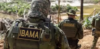 Concurso Ibama 2022: autorização de 568 nomeações! Veja Concurso Ibama 2022