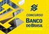 Concurso Banco do Brasil: é possível escolher a lotação? Entenda!