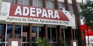 Concurso Adepará: comissão formada. Saiba mais