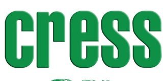 Concurso CRESS – SP: Oportunidades em Serviço Social – Confira o Edital! cress-sp