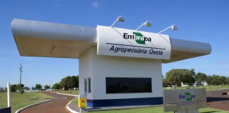 Concurso Embrapa 2025: Inscreva-se Agora – Prazo Prorrogado Até 17 de Janeiro Concurso Embrapa 2025