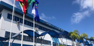 Concurso FHJA SC: Como Organizar um Plano de Estudos Eficiente Concurso FHJA SC