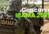 460 Vagas no IBAMA: Concurso Público com Remuneração de Até R$ 9.900 Concurso IBAMA 2025