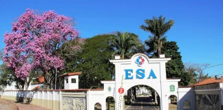 A Importância da Preparação Mental para o Concurso da ESA Concurso ESA 2025