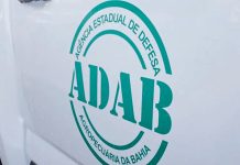 A ADAB e a Inovação na Fiscalização Agropecuária Concurso ADAB 2026